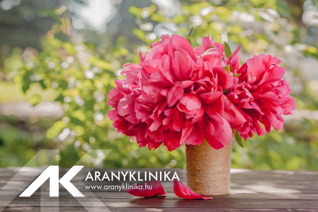 Aranyklinika will be closed on May 20