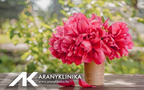 Aranyklinika will be closed on May 20